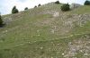 steiniger Magerrasen im Jura