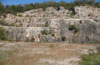 Small-scale, species-rich quarry in the southern Ticino (Switzerland, October 2007)