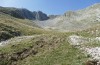 Italohippus albicornis: Habitat (Italy, Campobasso, Campitello Matese, early October 2023) [N]