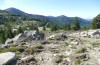 Chorthippus corsicus: Habitat (Korsika, Albertacce, Col de Vergio, Ende September 2024) [N]