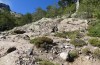 Sphingonotus corsicus: Habitat (Korsika, Corte, Haut-Asco, Ende September 2024) [N]