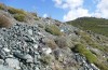 Omocestus defauti: Habitat (Korsika, Col de Bigorno, Ende September 2024) [N]