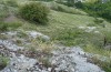 Stenobothrus eurasius: Habitat (E-Austria, Hainburg Mountains, Braunsberg, June 2018) [N]