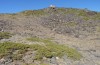 Omocestus minutissimus: Habitat (Spain, Andalusia, Sierra Nevada, 2600m, late September 2017) [N]
