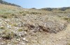 Oropodisma parnassica: Habitat (Greece, Mount Parnassos, Ski center, 1800m, late July 2025) [N]