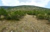 Ramburiella turcomana: Habitat im Askion-Gebirge bei Siatista (Ende Juni 2013) [N]