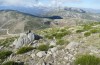 Omocestus uhagonii: Habitat (Spanien, Sierra de Gredos, oberhalb von Serranillos, 2000m, Mitte Oktober 2021) [N]