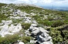 Ocnogyna corsica: Larval habitat in Sardinia in the Montiferru area (May 2012) [N]