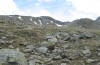 Arctia flavia: Larvalhabitat (Wallis, Augstbordregion, 2500m, Anfang Juni 2007) [N]