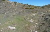 Tomares ballus: Habitat (Andalusien, Sierra de Tejada, Ende März 2015) [N]