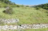 Lycaena bleusei: Habitat mit Rumex acetosella (Spanien, Avila, Sierra de Gredos, Cuevas del Valle, 30. April 2024) [N]