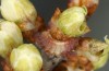 Satyrium pruni: Larva L2 (e.o., S-Germany, Memmingen, 2023) [S]