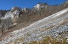 Satyrium spini: Larvalhabitat: Rhamnus catharticus über Kalkschotter (Oberes Donautal, 24. März 2018) [N]