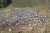 Satyrium spini: Larvalhabitat: Rhamnus catharticus über Kalkschotter (Oberes Donautal,  April 2011) [N]