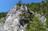 Satyrium spini: Habitat (Österreich, Karawanken, Trögerner Klamm bei Bad Eisenkappel, 07. August 2016) [N]
