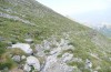 Turanana taygetica: Habitat (Greece, Mount Taygetos, 2200m, 18. June 2025) [N]