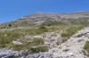 Turanana taygetica: Habitat in the upper rocky part, below only single males (Greece, Mount Taygetos, 2200m, 18. June 2025) [N]