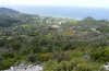 Parocneria terebinthi: Habitat in Samos (foreground) [N]