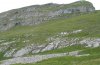 Antitype chi: Habitat at the Kanisfluh (July 2010, Vorarlberg, W-Austria). Such rocky slopes with nutrient-poor limestone grasslands often show higher population densities. [N]