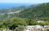 Xylocampa mustapha: Habitat (Greece, Samos Island, Manolates, May 2017) [N]