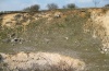 Hoplodrina respersa: Larvalhabitat in a small old quarry on the eastern Swabian Alb (April 2009) [N]
