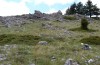Euchalcia siderifera: Larval habitat on Mount Chelmos (Greece, N-Peloponnese, 1700-1800m, early May 2016) [N]