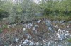 Olivenebula subsericata: Larval habitat with Dactylus glomerata on a scrub edge (N-Greece, Siatista near Kozani, larvae found in early November 2023) [N]