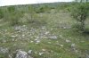 Proterebia afra: Habitat in Northern Greece near Kozani (Siatista), early May 2008 [N]