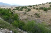 Arethusana arethusa: Habitat in the Askio mountains where also Cilix asiatica occurs (August 2012) [N]