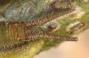 Apatura iris: Hibernating larva cranial (Memmingen, Southern Germany) [N]