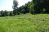 Argynnis laodice: Habitat (Ungarn, Bükk-Gebirge, Anfang August 2020) [N]