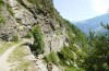 Hyponephele lycaon: Habitat (Switzerland, Valais, Stalden, 14. July 2022) [N]