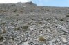 Erebia melas: Habitat am Olymp in 2600m NN, August 2012 [N]