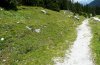 Argynnis niobe: Habitat in W-Austrian Alps (Montafon): forest gap systems with limestone grasslands [N]