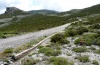 Argynnis pandora: Larvalhabitat am Montiferru auf Sardinien, 23.05.2012 [N]