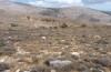 Hipparchia syriaca: Eiablagehabitat am Attaviros im September 2013. Eiablegende Weibchen kamen bis zum Gipfel (1215m NN) vor, waren aber zwischen 500 und 1000m NN am häufigsten. [N]