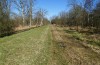 Nymphalis xanthomelas: Habitat with perching males (N-Germany, Wolfsburg, 19. March 2022) [N]