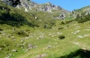 Colias alfacariensis: Habitat in 1500 bis 1700m above sea level in the Allgäu Alps: limestone pasture with Hippocrepis comosa. Colias phicomone also occurs there. August 2012. [N]
