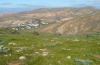Pontia daplidice: Habitat in dry open landscape in Fuerteventura in February 2011 [N]