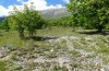 Pieris ergane: Larvalhabitat (Vordergrund) in den Abruzzen im Mai 2013 [N]