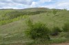 Colias myrmidone: Habitat (Romania, Cluij, early May 2021) [N]