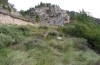 Thyreonotus corsicus: Habitat (Spanien, Teruel, Sierra de Albarracin, Moscardon, Ende Juli 2017) [N]