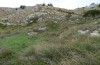 Pholidoptera dalmatica: Habitat (Croatia, Biokovo National Park, mid-October 2015) [N]