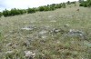 Platycleis macedonica: Habitat (Greece, Kozani, Livera, early June 2024) [N]