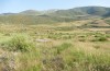 Odontura macphersoni: Habitat (Spanien, Avila, Sierra de Gredos, 1700m, Ende Juni 2025) [N]