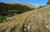 Platycleis stricta: Habitat (Italien, Abruzzen, Rocca di Cambio, 1100m, Ende September 2016) [N]