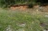 Poecilimon zwicki: Habitat (NE-Griechenland, Mount Pangeon, Anfang August 2018) [N]