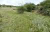 Adscita bolivari: Habitat where also occur Zygaena trifolii and Jordanita subsolana (Spain, Jaen, Santiago de la Espada, late June 2025) [N]