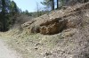 Jordanita hispanica: Larvalhabitat exakt ein Jahr vor den Raupenfunden am 07.04.2024. An diesem Tag im April 2023 wurden an denselben Pflanzen Raupen von J. budensis gefunden (Teruel, Moscardon, Anfang April 2023) [N]