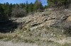 Jordanita hispanica: Larvalhabitat exakt ein Jahr vor den Raupenfunden am 07.04.2024. An diesem Tag im April 2023 wurden an denselben Pflanzen Raupen von J. budensis gefunden (Teruel, Moscardon, Anfang April 2023) [N]